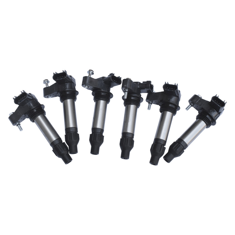 6 Pcs Ignition Coil Fit For Holden Commodore VE VZ Statesman WL WM Grand Vitar 3.6L image