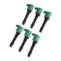 Ignition Coil Fit For Ford Falcon BA BF Green  LTD Territory SX SY XR6
