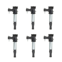 Ignition Coils Fit For Holden Commodore VZ Colorado RC Statesman WL Rodeo V6 3.6L 6pcs